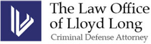 criminal lawyer